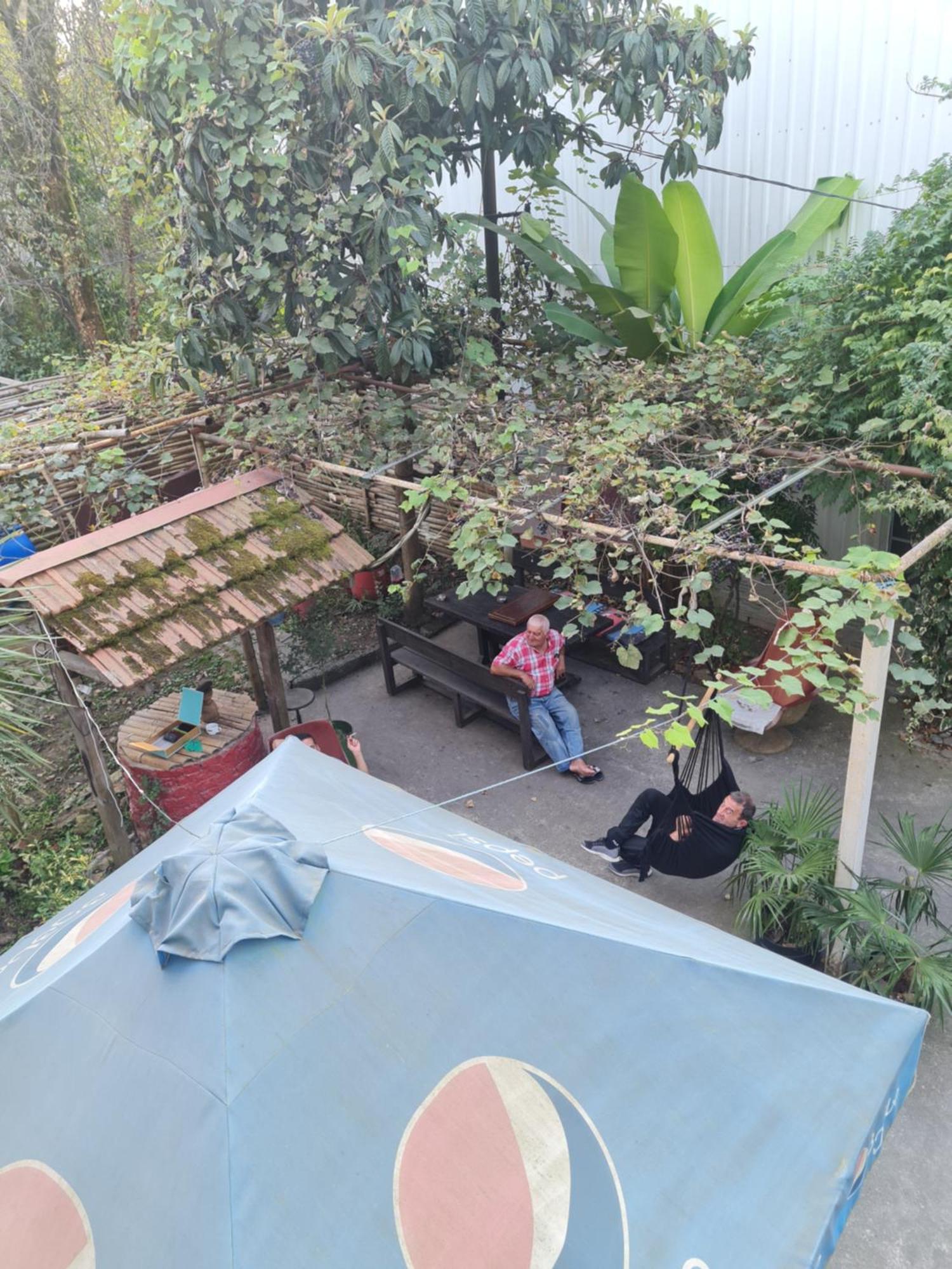 Merabi Guest House Makhinjauri Oda fotoğraf